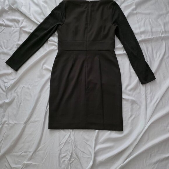 The Limited Dress - Picture 5 of 5